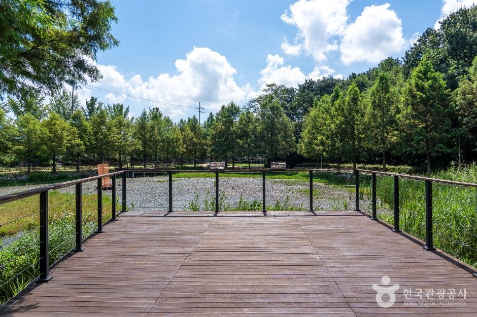 동구_추동인공생태습지 (4)