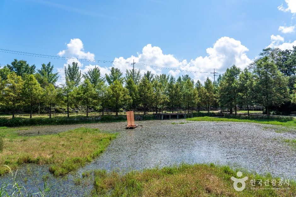 동구_추동인공생태습지 (5)