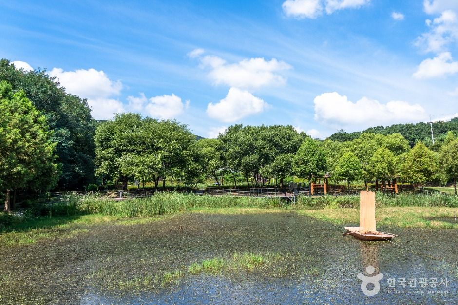 동구_추동인공생태습지 (6)