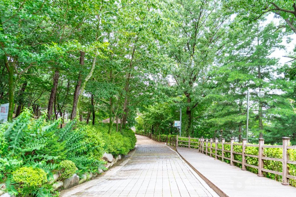 대전_테미공원 (5)