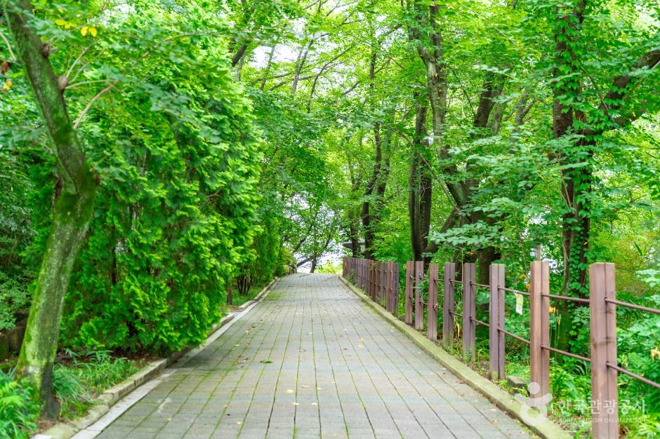 대전_테미공원 (3)