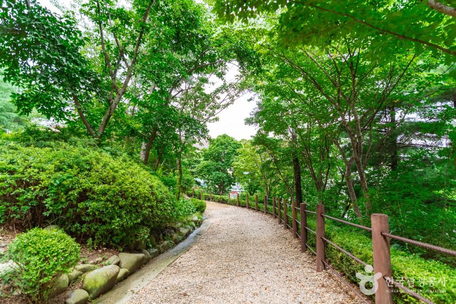 대전_테미공원 (4)