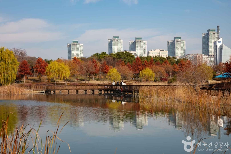 대전_서구_한밭수목원 (2)