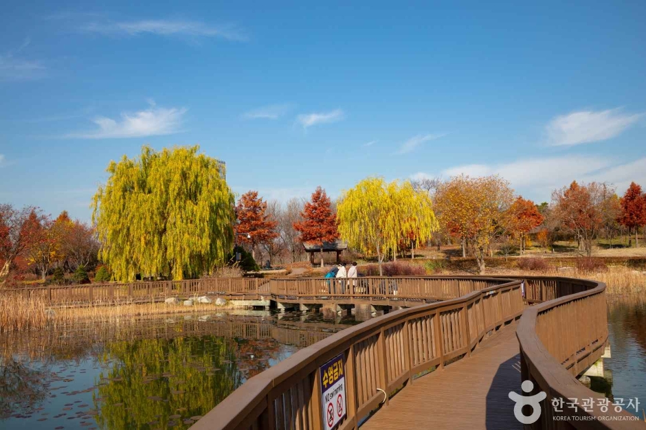 대전_서구_한밭수목원 (3)