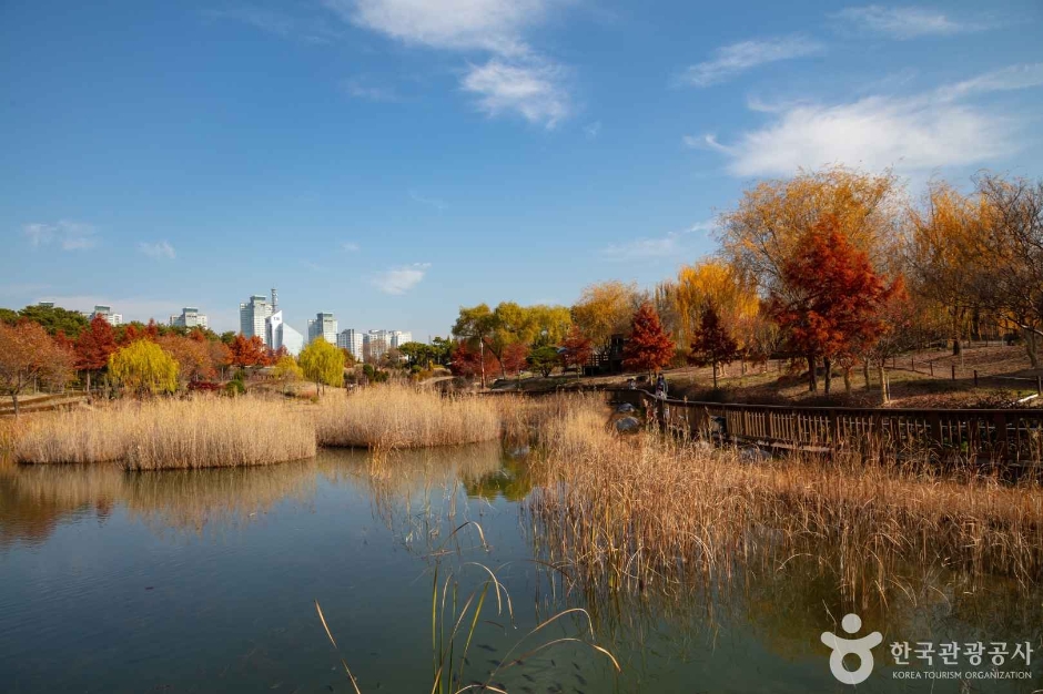 대전_서구_한밭수목원 (4)