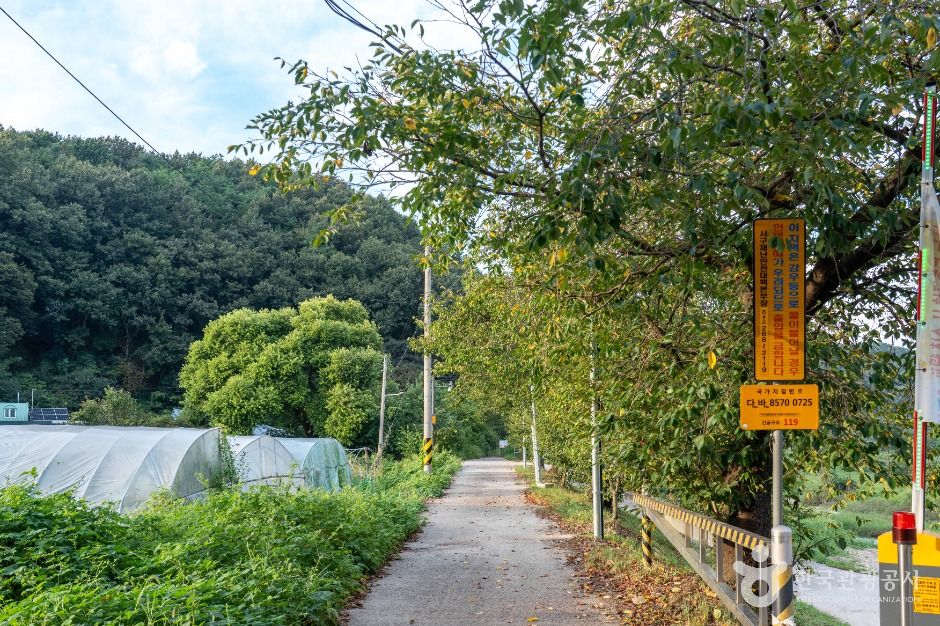 서구_흑석유원지 (5)