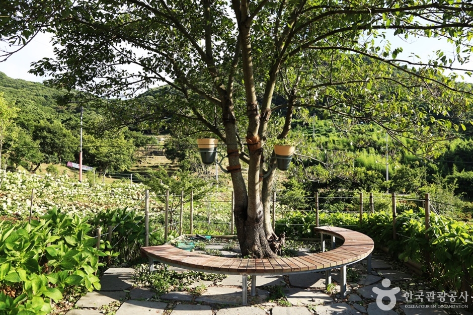 가덕도외양포전망대 (15)