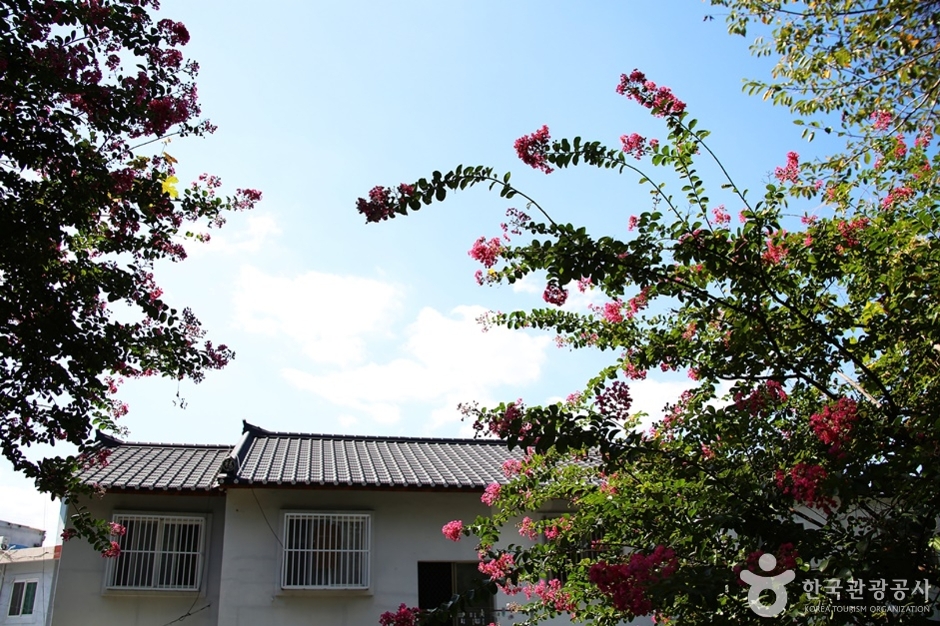 개금벚꽃문화길 (3)