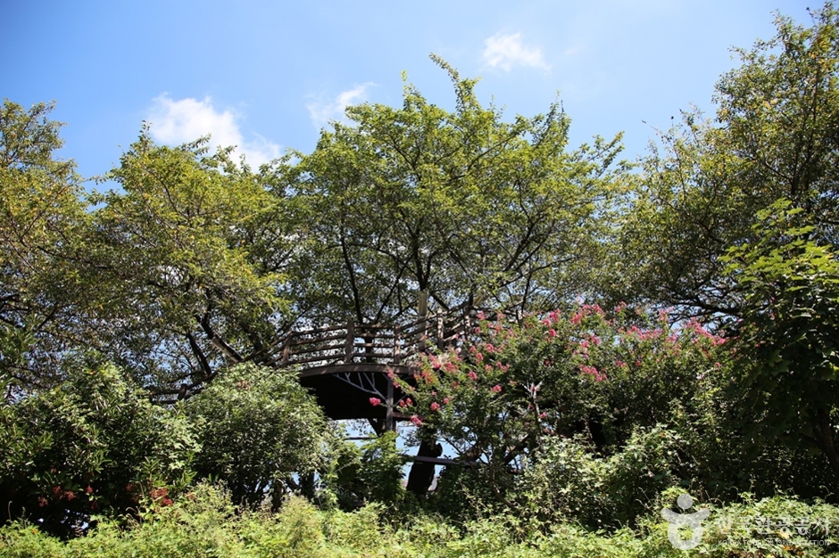 개금벚꽃문화길 (6)