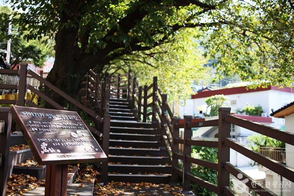 개금벚꽃문화길 (14)