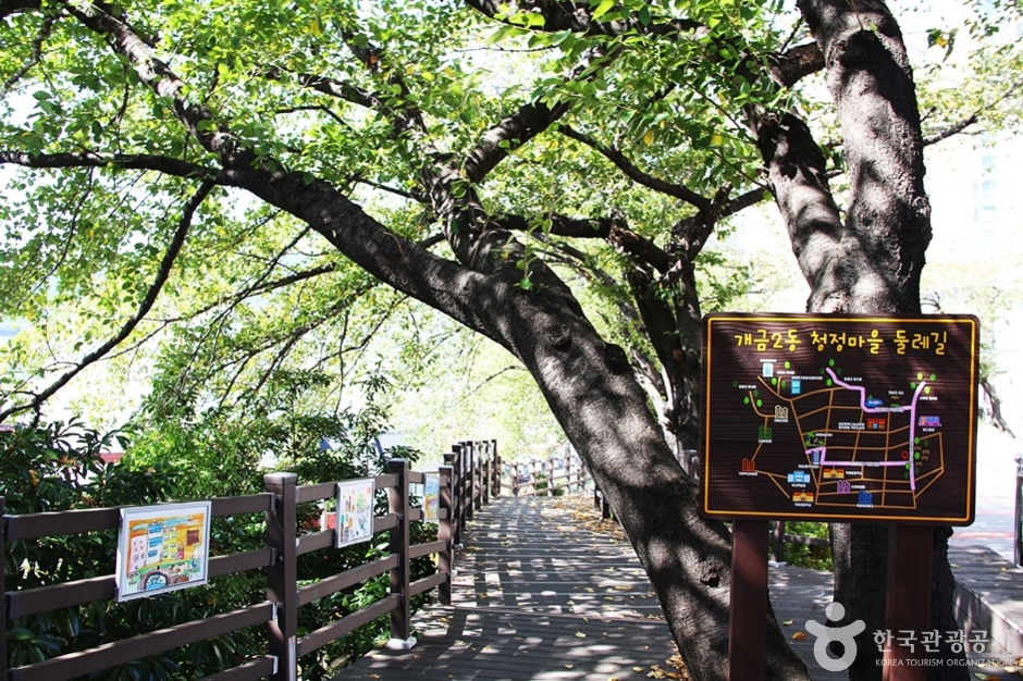 개금벚꽃문화길 (18)