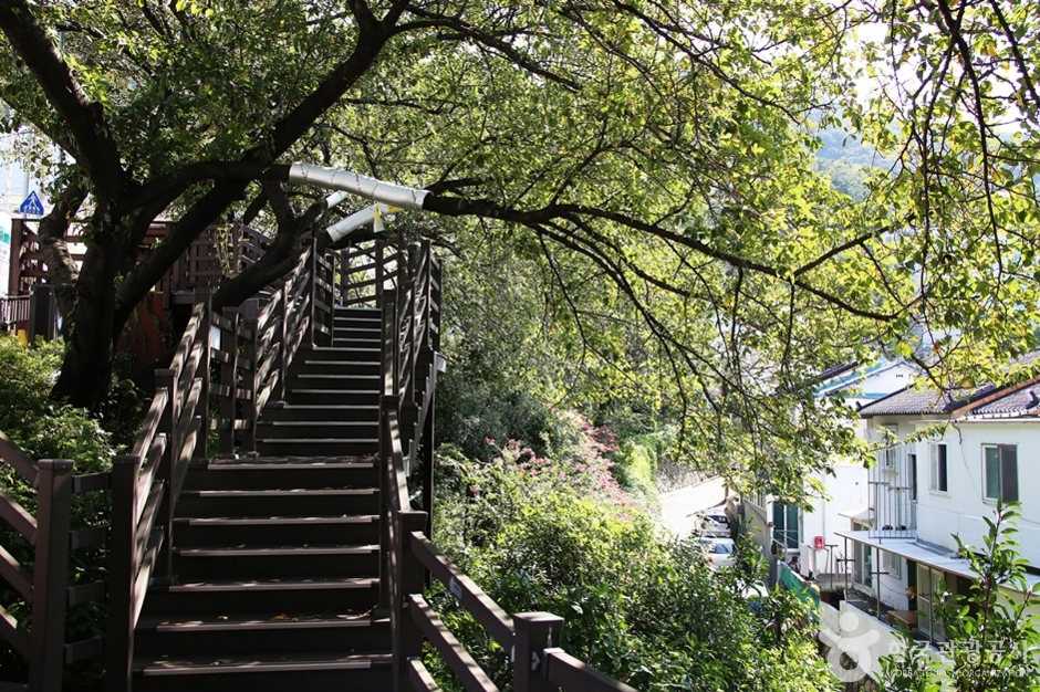 개금벚꽃문화길 (19)