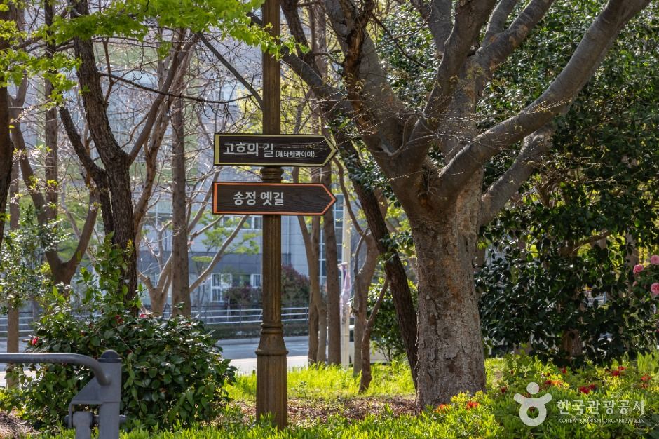 부산_고흐의 길 (1)