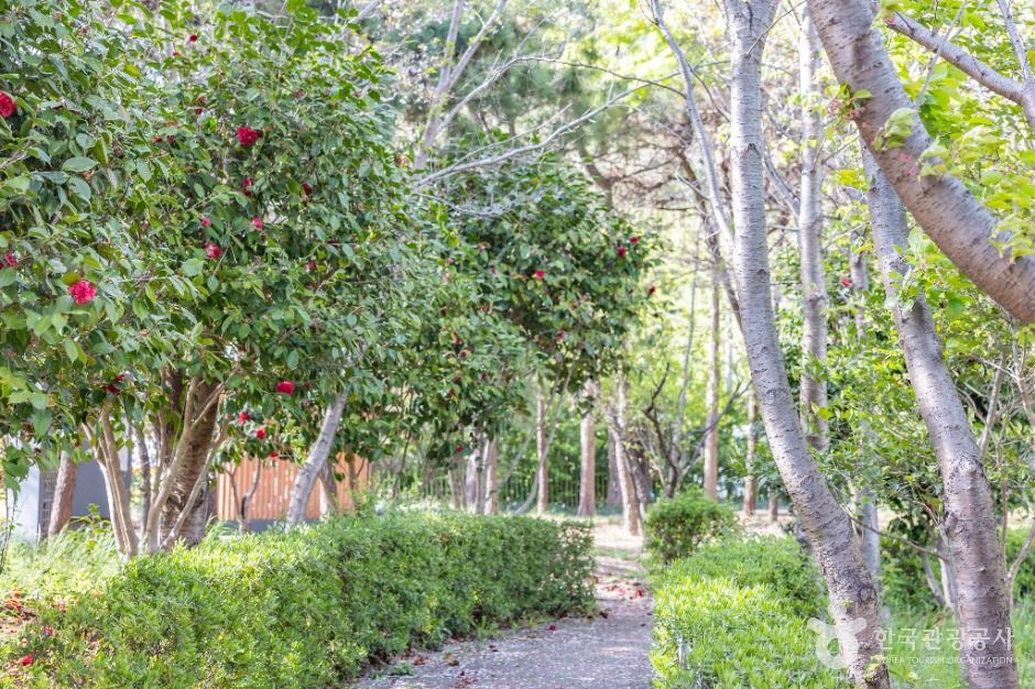 부산_고흐의 길 (2)