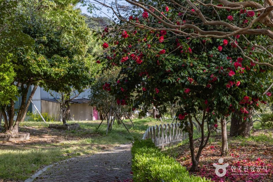 부산_고흐의 길 (4)