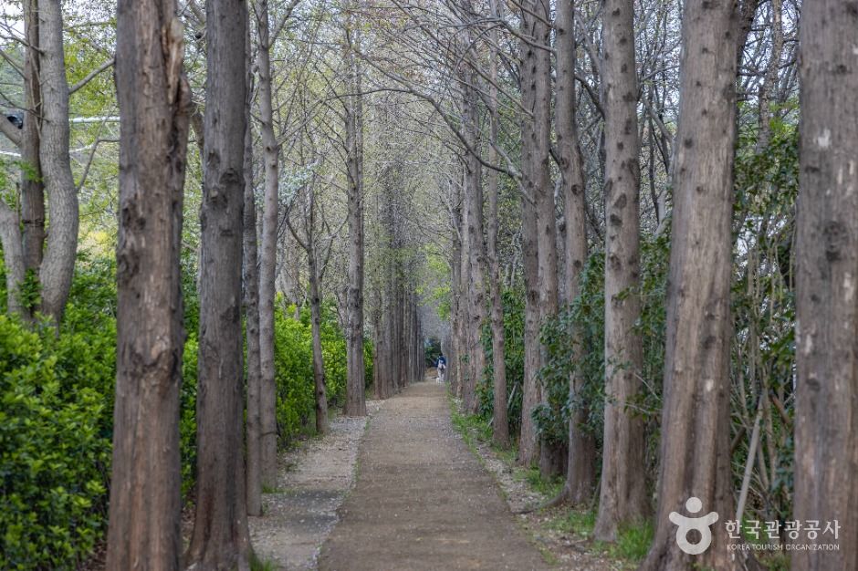 부산_고흐의 길 (7)