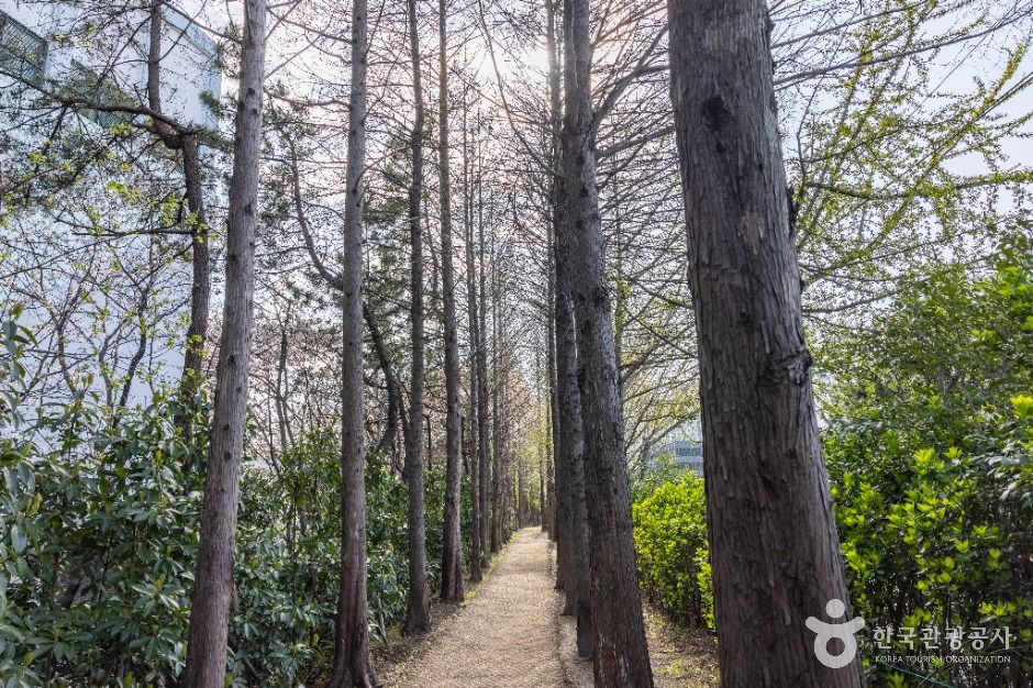 부산_고흐의 길 (9)