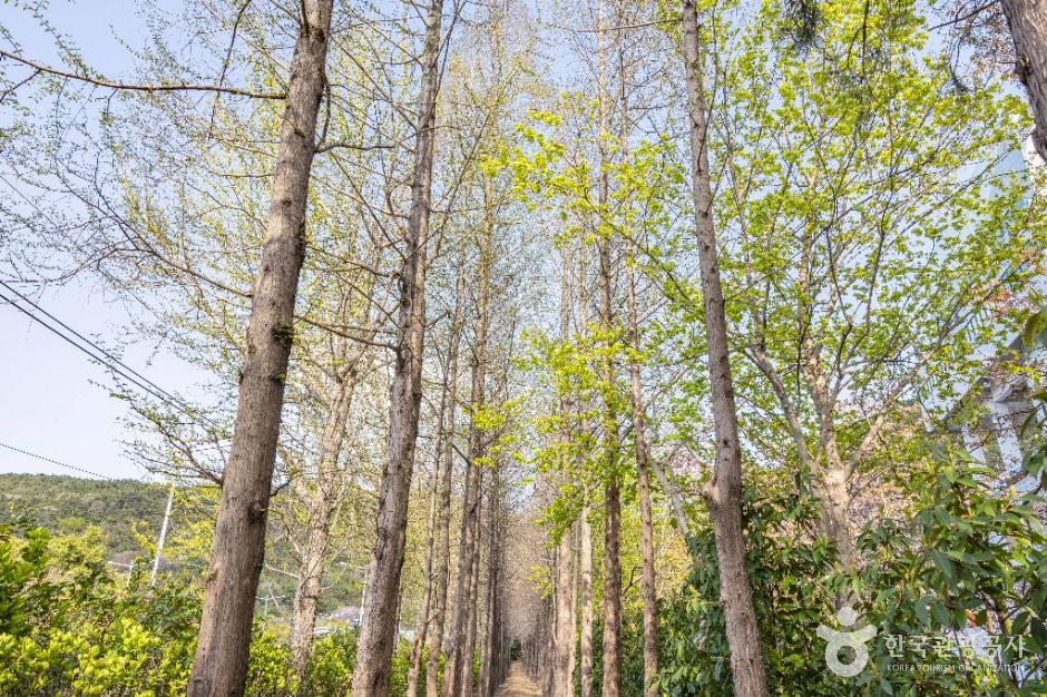 부산_고흐의 길 (10)