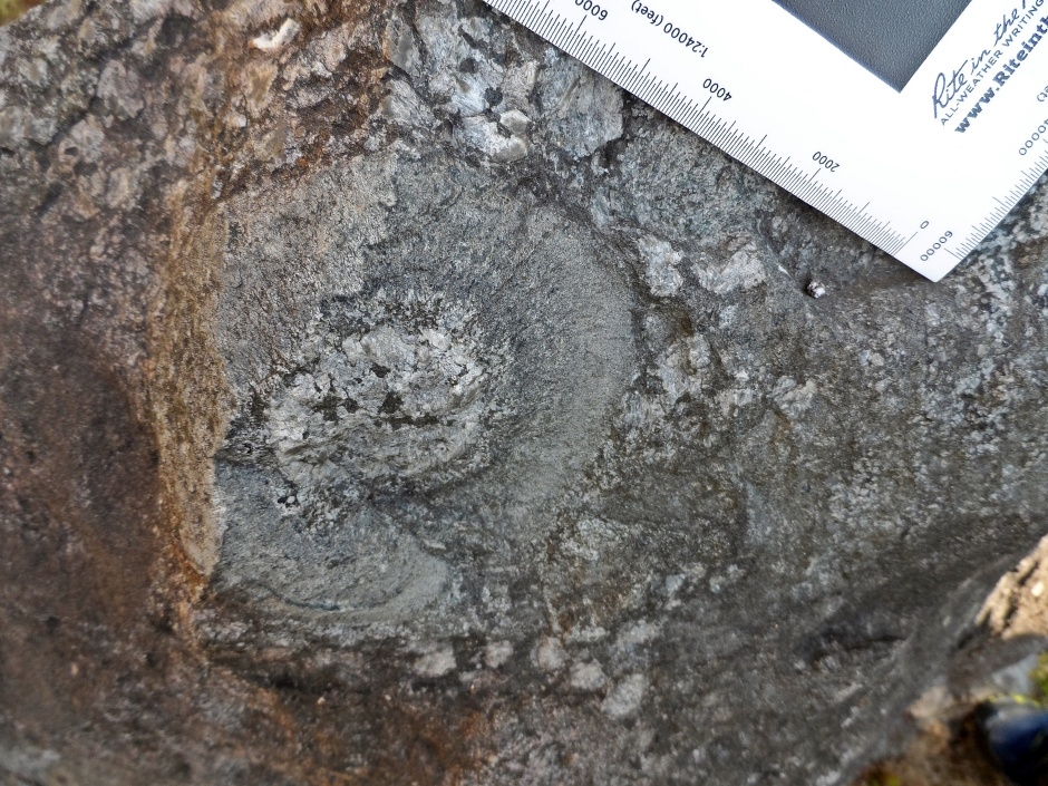 구상반려암_1_국가지질공원