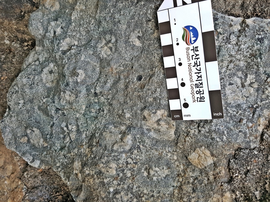 구상반려암_2_국가지질공원