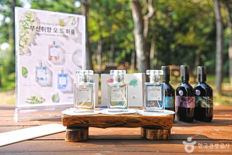 2024 관광두레 11월기사 부산 주식회사 그런고로 1