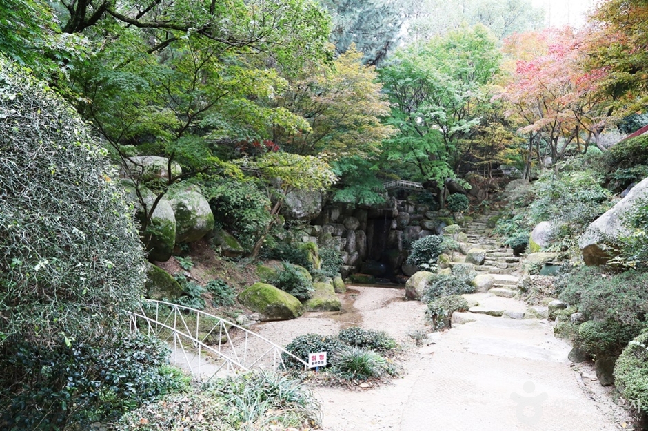 금강식물원 (10)