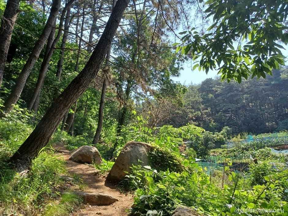 부산_북구_율리 바위그늘 유적 (2)