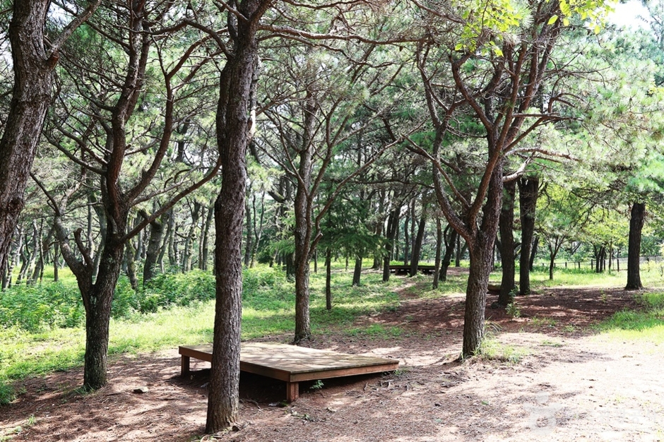 금정산성 동문 (5)