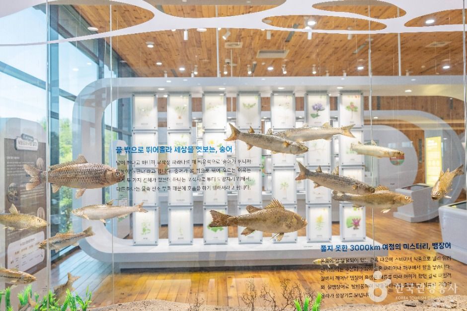 부산_낙동강하구에코센터 (7)