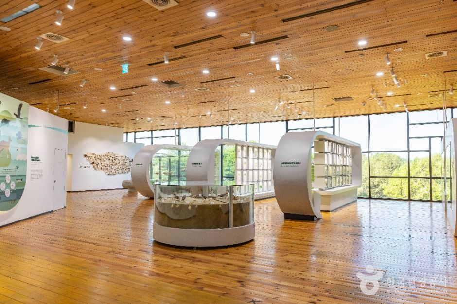 부산_낙동강하구에코센터 (9)