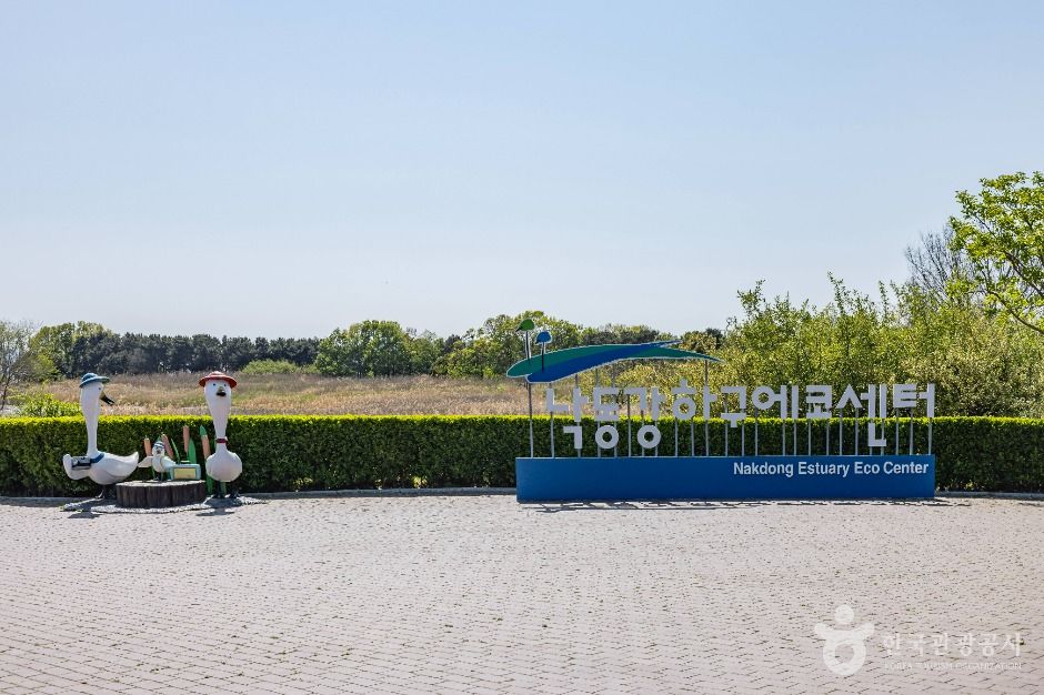 부산_낙동강하구에코센터 (21)