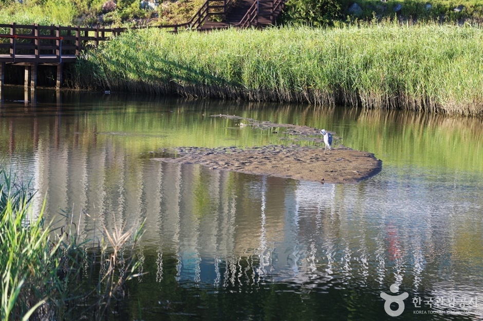 다대포생태탐방로 (2)