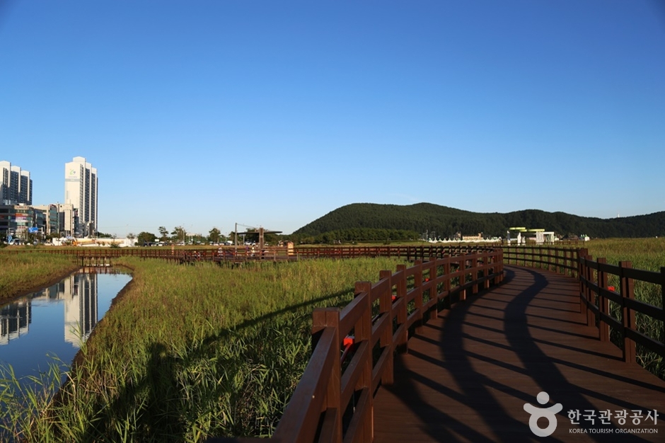 다대포생태탐방로 (6)