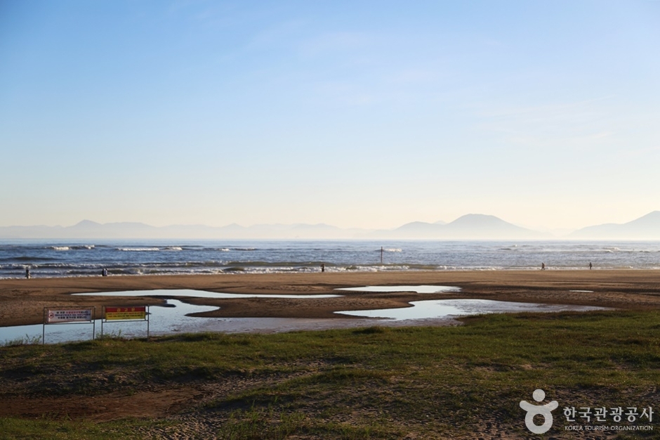 다대포생태탐방로 (8)