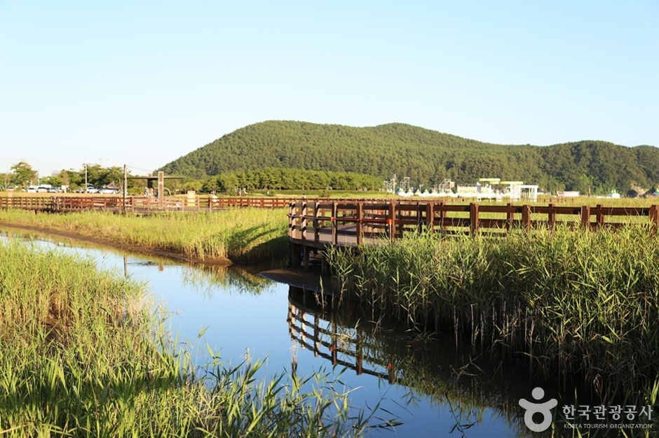 다대포생태탐방로 (12)