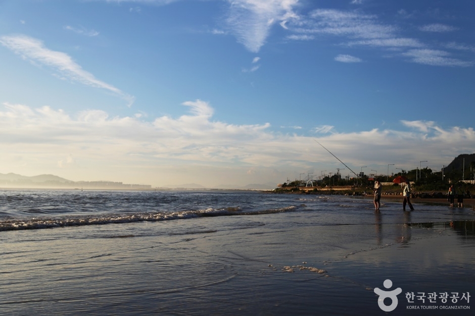 다대포생태탐방로 (17)