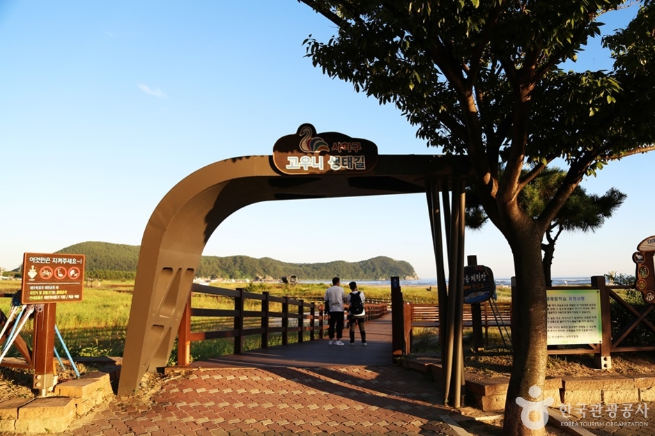 다대포생태탐방로 (19)