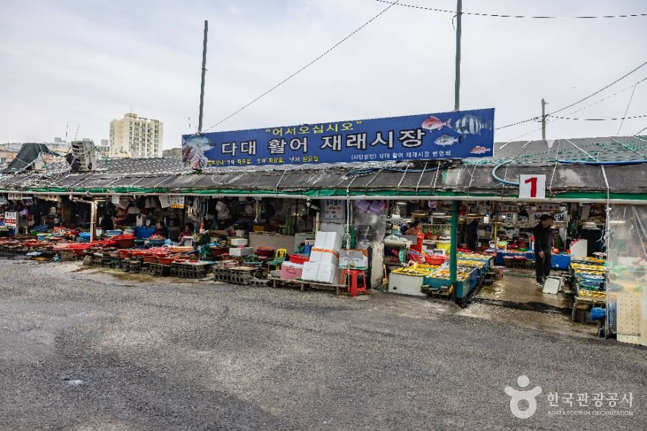 부산_다대포항 (4)