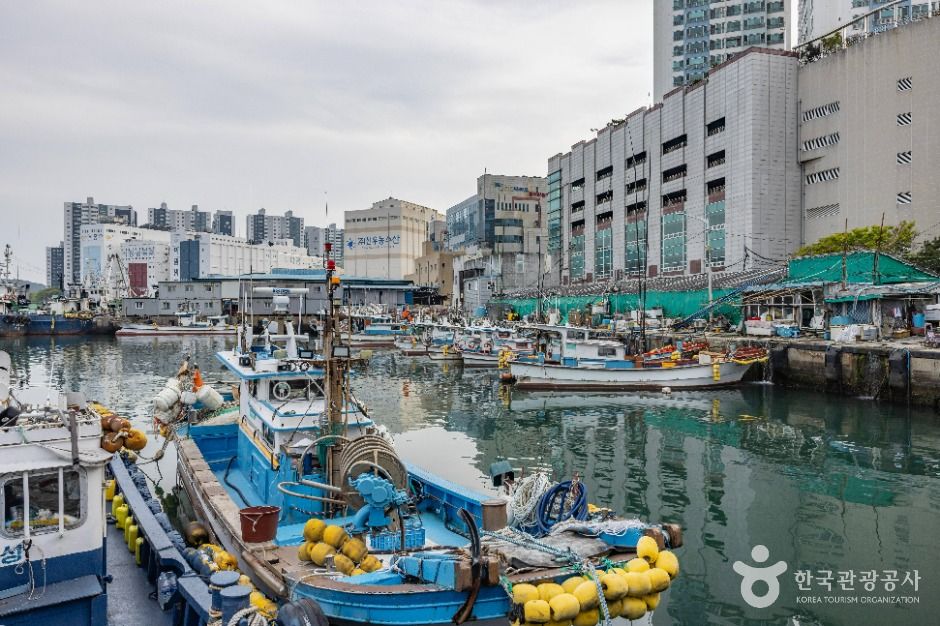 부산_다대포항 (5)