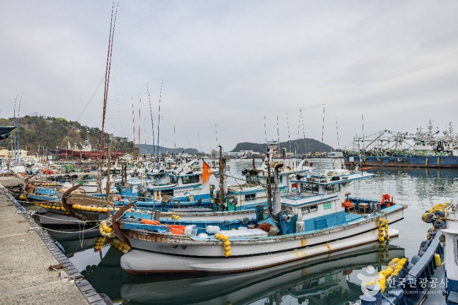 부산_다대포항 (6)