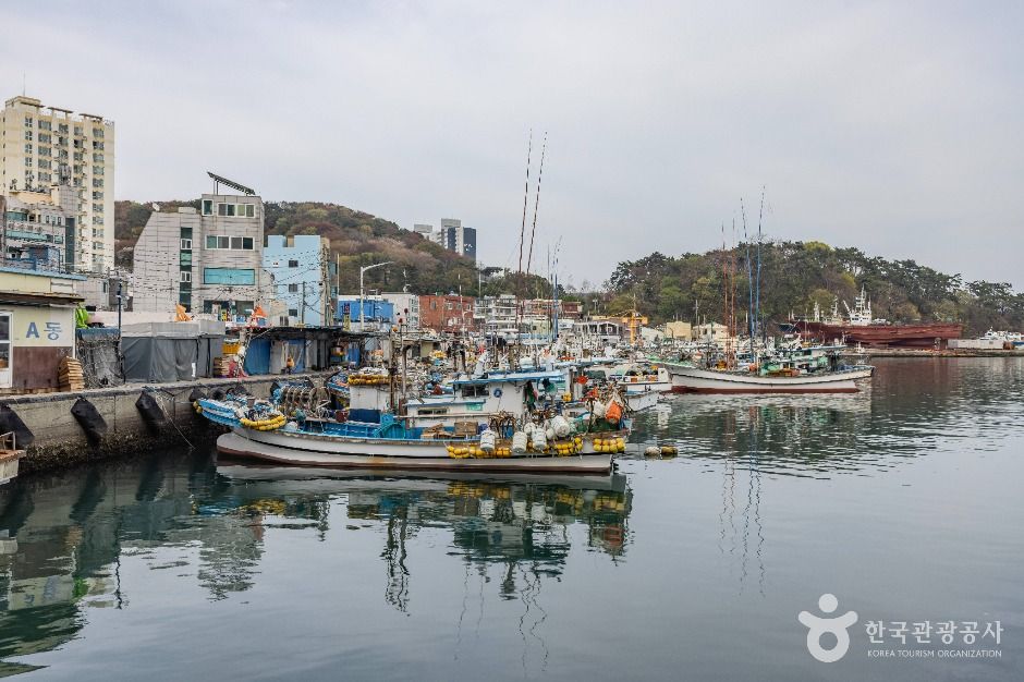 부산_다대포항 (7)