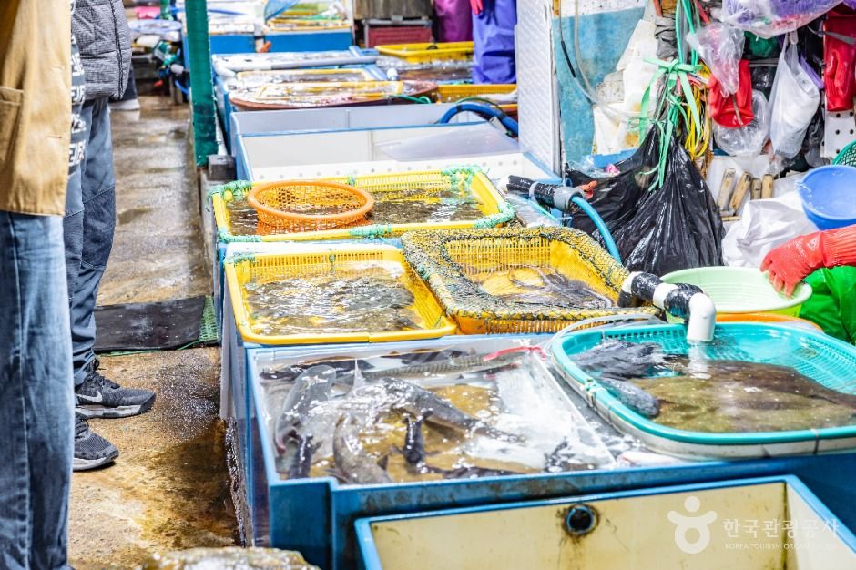 부산_다대포항 (8)