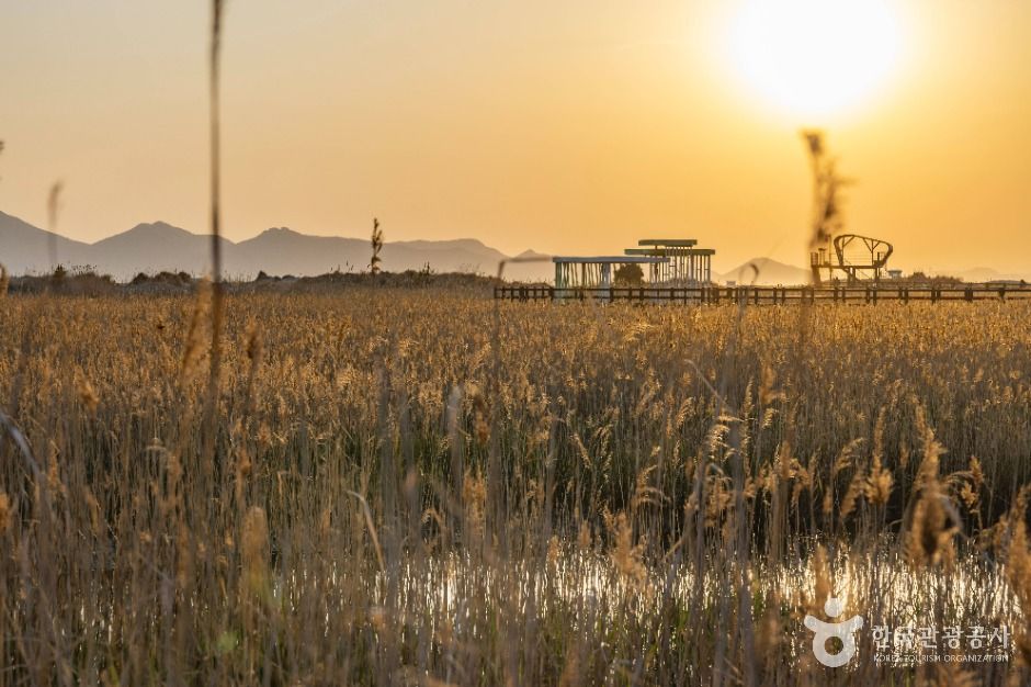 부산_다대포해수욕장 (2)