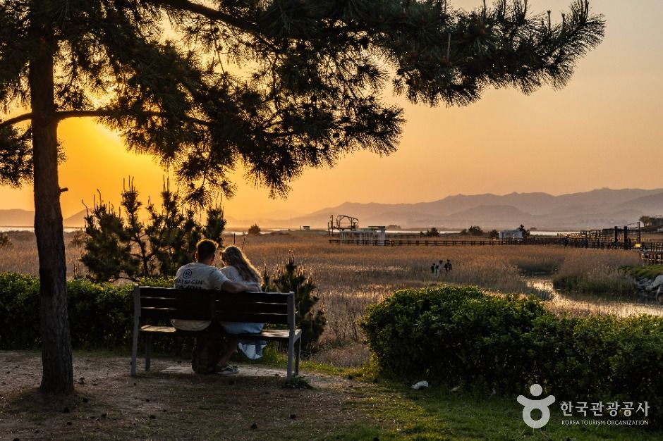 부산_다대포해수욕장 (4)