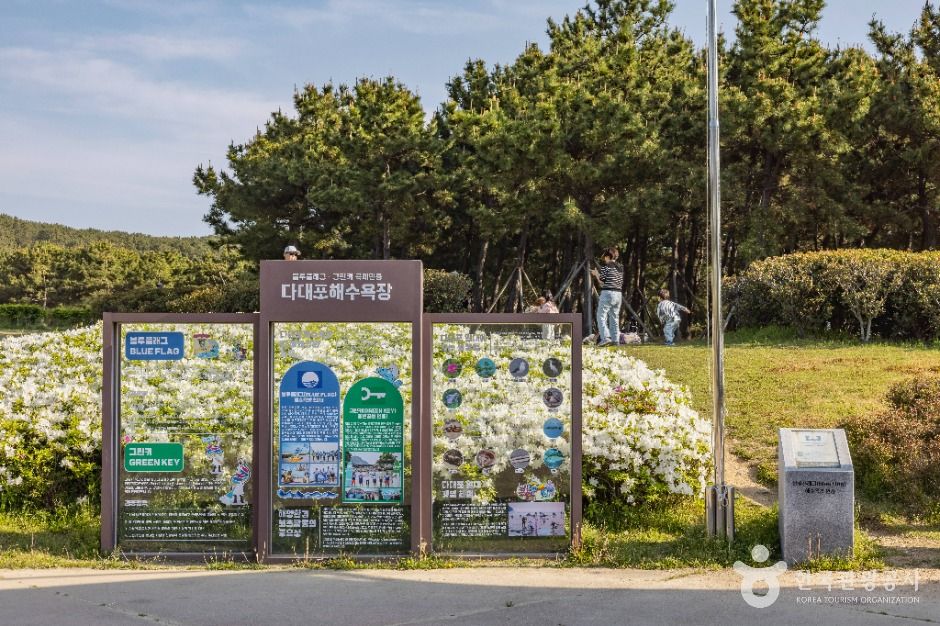 부산_다대포해수욕장 (9)