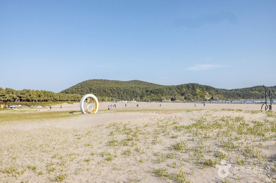 부산_다대포해수욕장 (10)