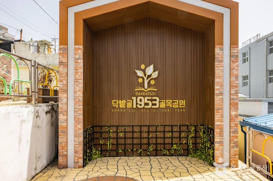 부산_닥밭골 벽화마을 (10)