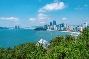 해운대 달맞이길