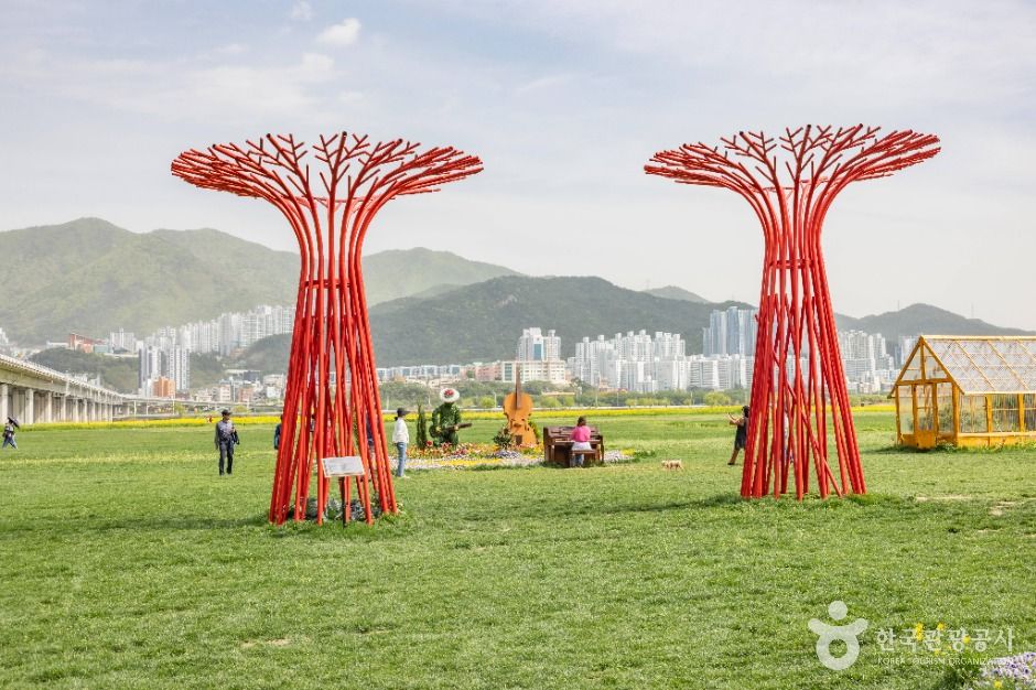 부산_대저생태공원 (2)