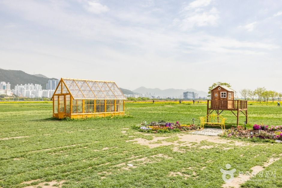 부산_대저생태공원 (4)